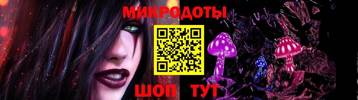 Галлюциногенные грибы Psilocybine cubensis Чернушка