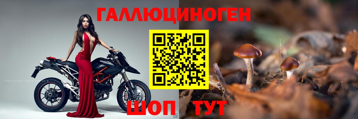 Чернушка  Галлюциногенные грибы ЛСД  Вход с VPN  Псилоцибиновые грибы мицелий 